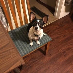 Meet your Posher, Stacy